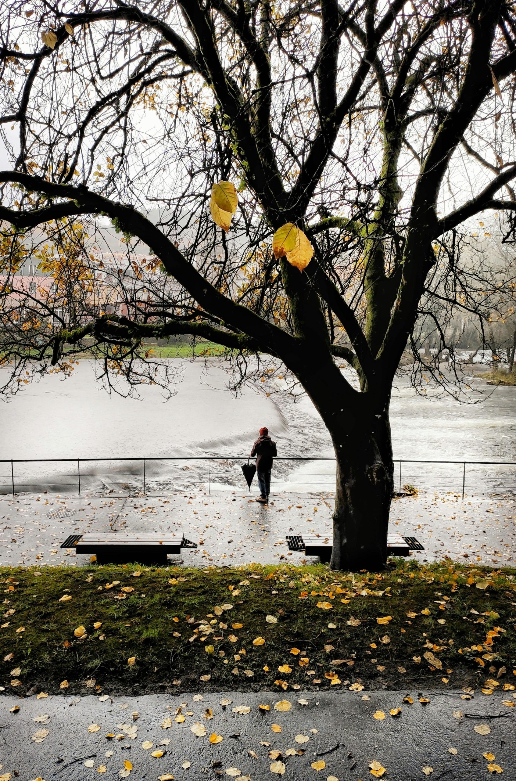 A person with an umbrella stands by a riverbank in Arcos de Valdevez during autumn.